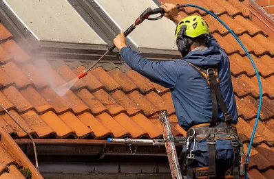 Démoussage et hydrofuge de toiture à Auvillars